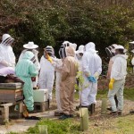 Stanmer apiary meeting, April 2015