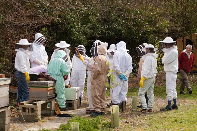 Stanmer apiary meeting, April 2015