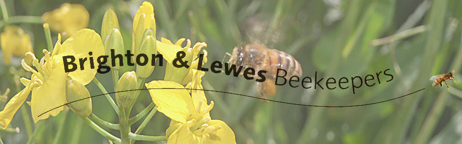 Brighton and Lewes Beekeepers