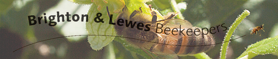 Brighton and Lewes Beekeepers