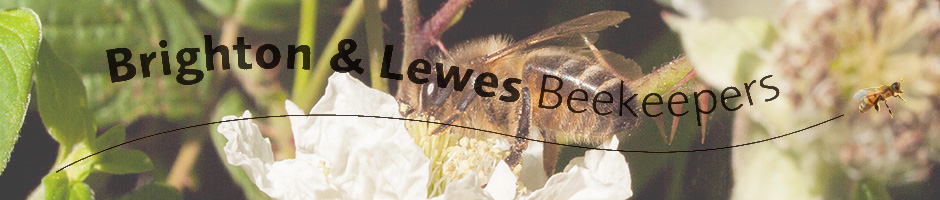 Brighton and Lewes Beekeepers