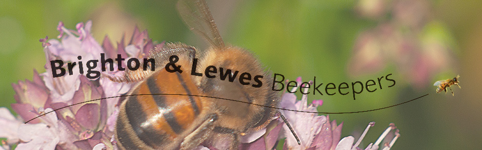 Brighton and Lewes Beekeepers