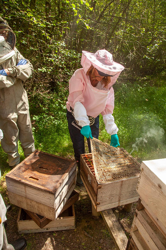 Manipulating a hive