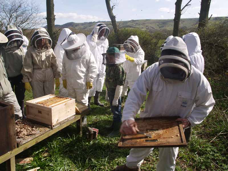 Cleaning up after winter: scraping the cover board